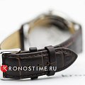 Часы Greenwich Helm GW 041.12.32 фото 4
